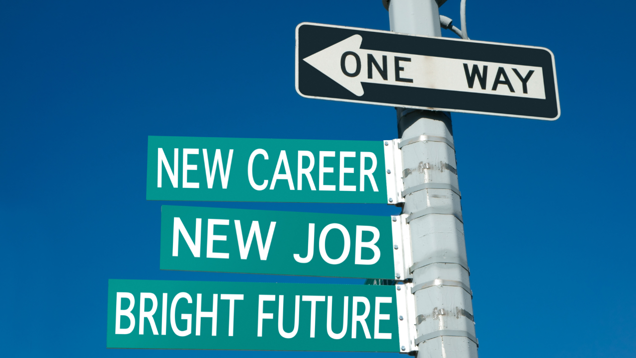 Navigating Career Transitions